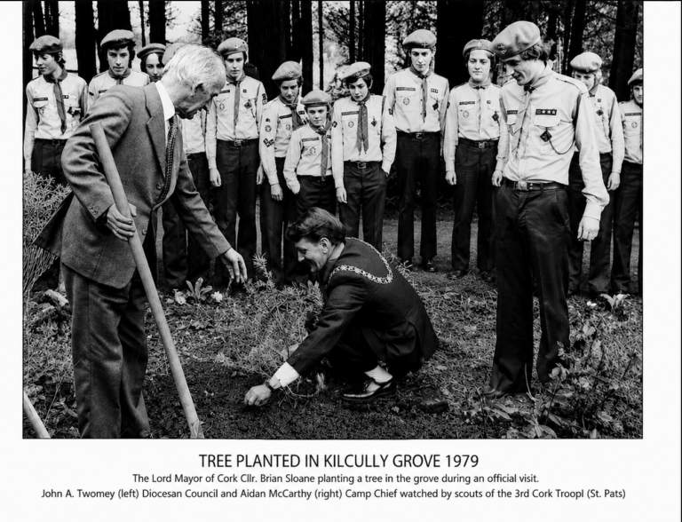 Tree Planting