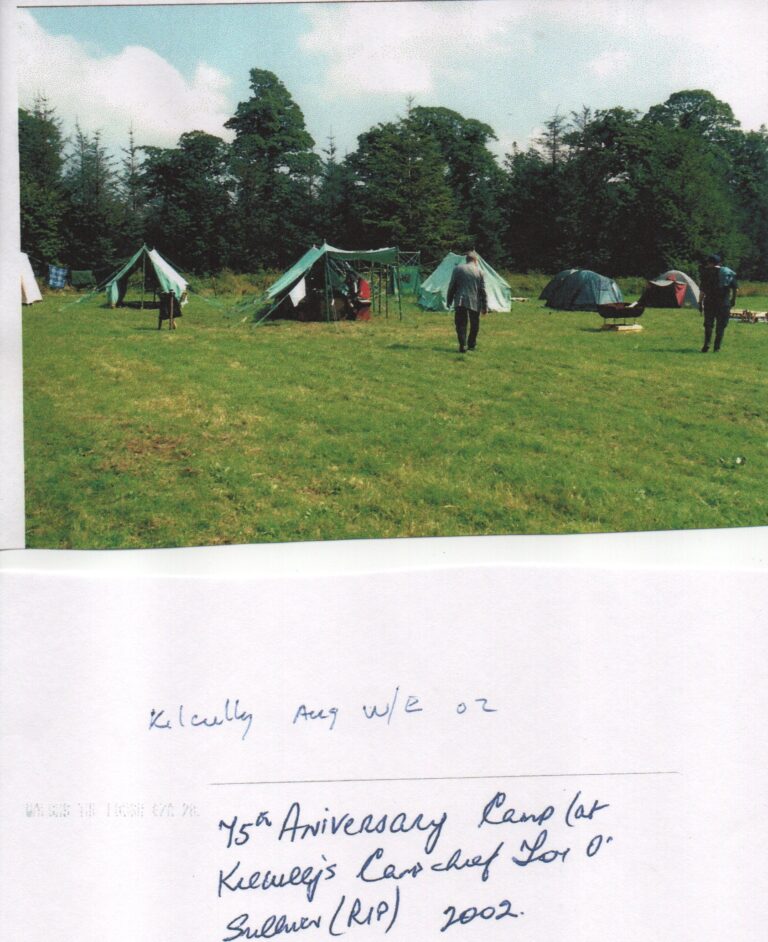 Celebrating 75 years of scouting